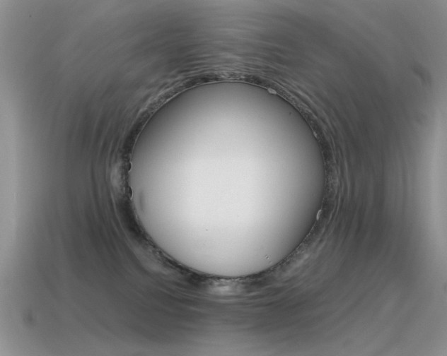 X0000115560088200911061156