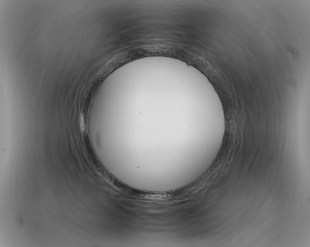 X0000115560089200911061156