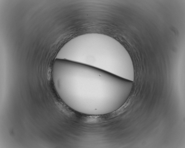 X0000115560090200911061156