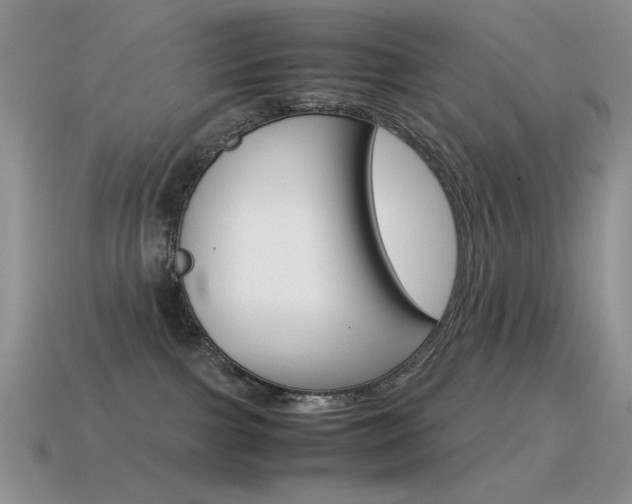 X0000115560091200911061156