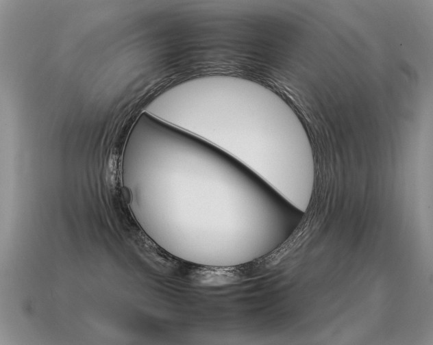 X0000115560093200911061156