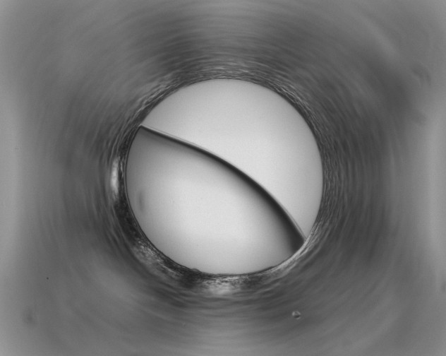 X0000115560094200911061156