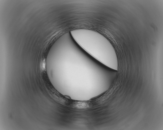 X0000115560095200911061156