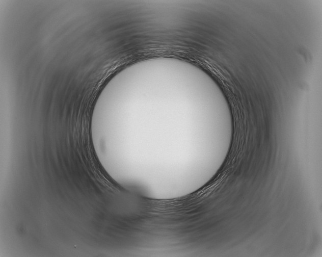 X0000115560096200911061156