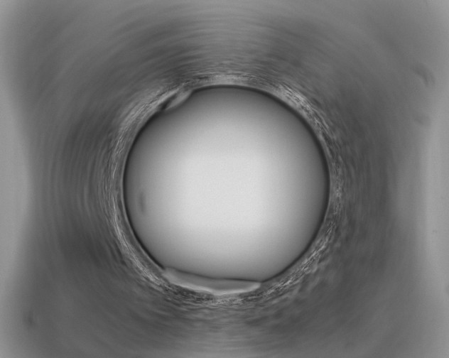 X0000115560097200911061156