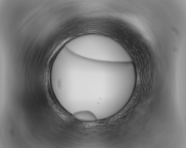 X0000115560098200911061156