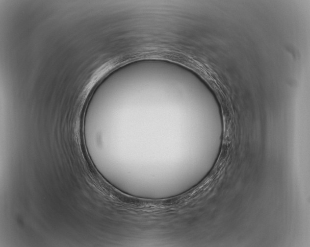 X0000115560099200911061156