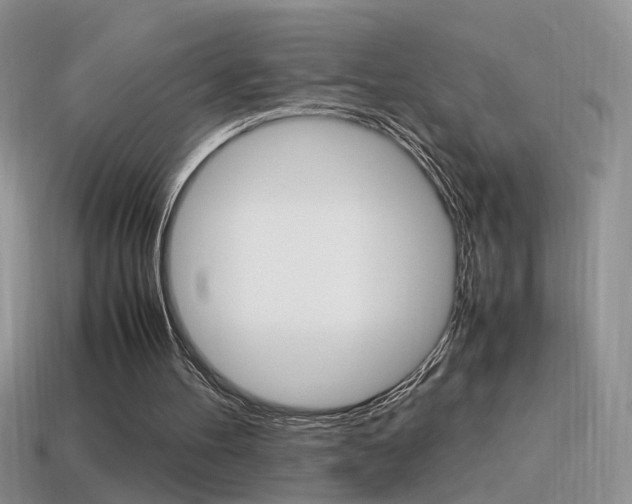 X0000115560100200911061156