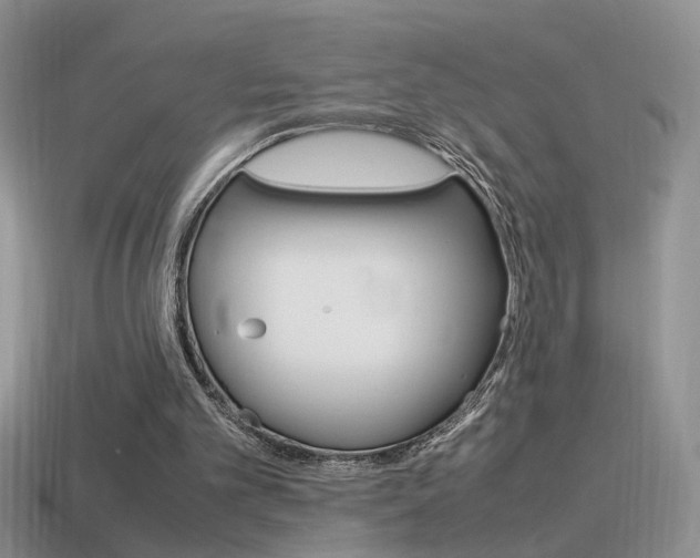 X0000115560101200911061156