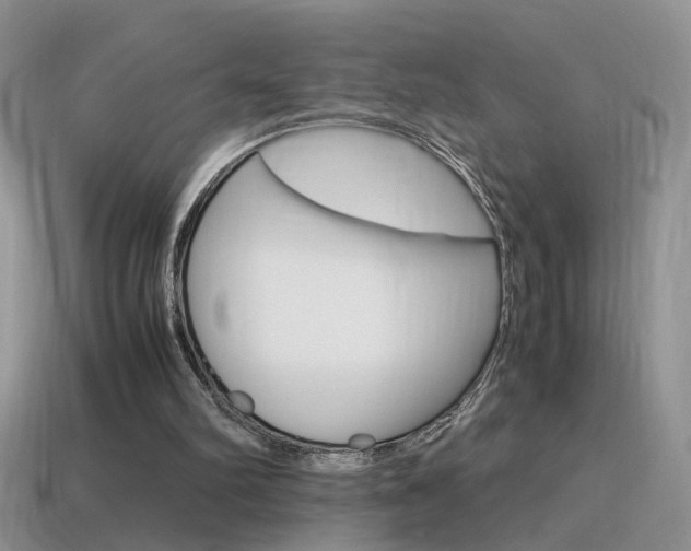 X0000115560102200911061156