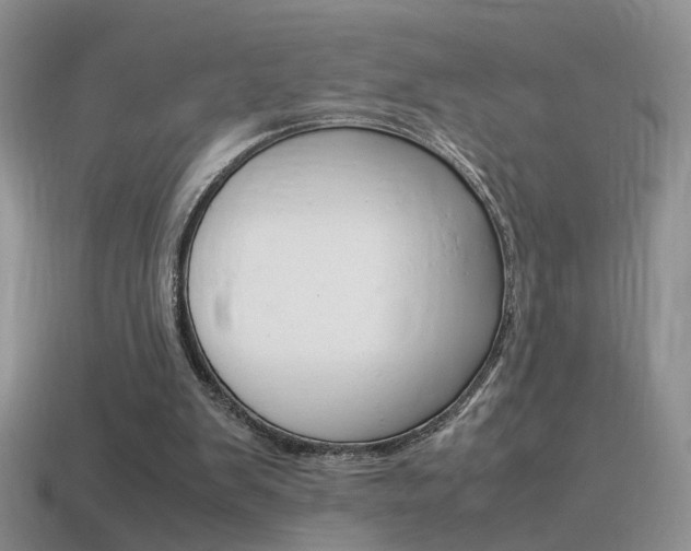 X0000115560103200911061156