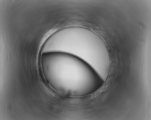 X0000115560104200911061156