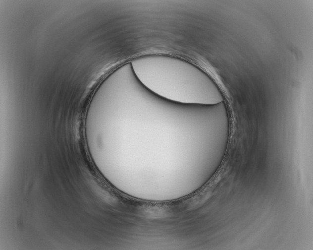 X0000115560106200911061156