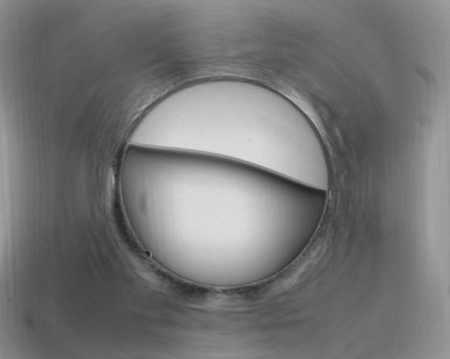 X0000115560109200911061156