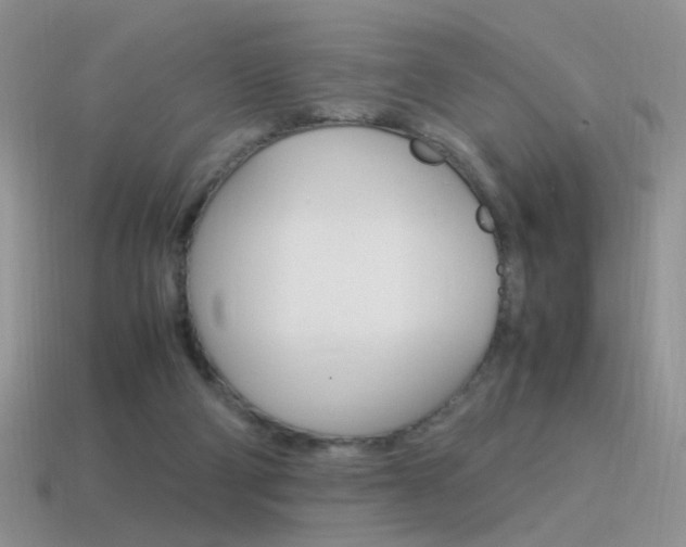 X0000115560114200911061156