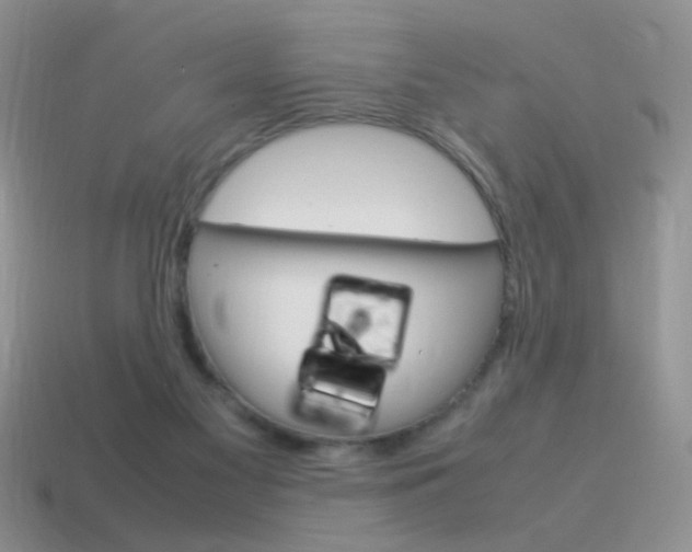X0000115560117200911061155