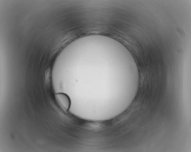 X0000115560118200911061155
