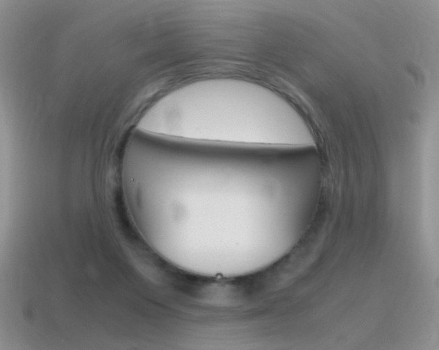 X0000115560119200911061155