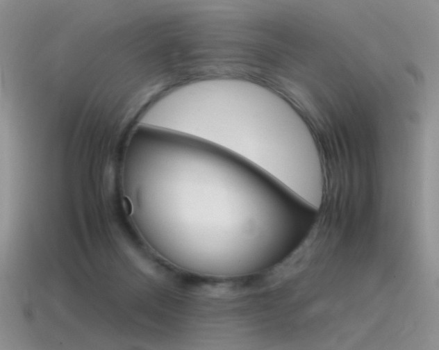 X0000115560120200911061155
