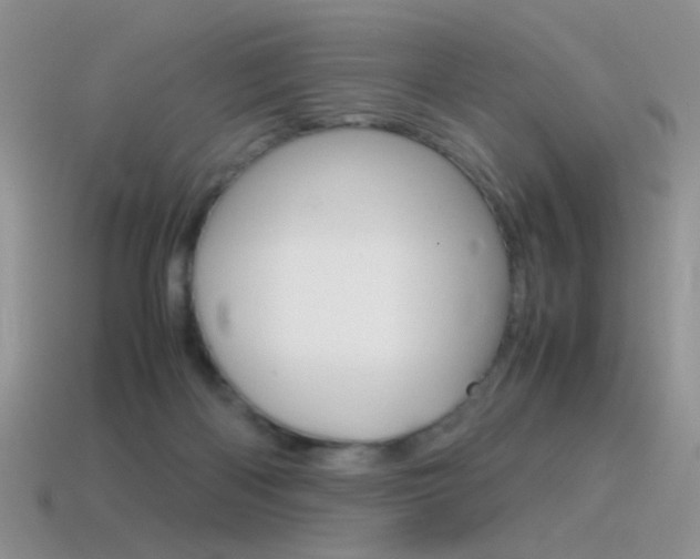 X0000115560122200911061155