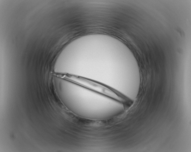 X0000115560124200911061155