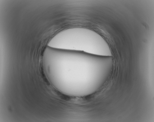 X0000115560125200911061155