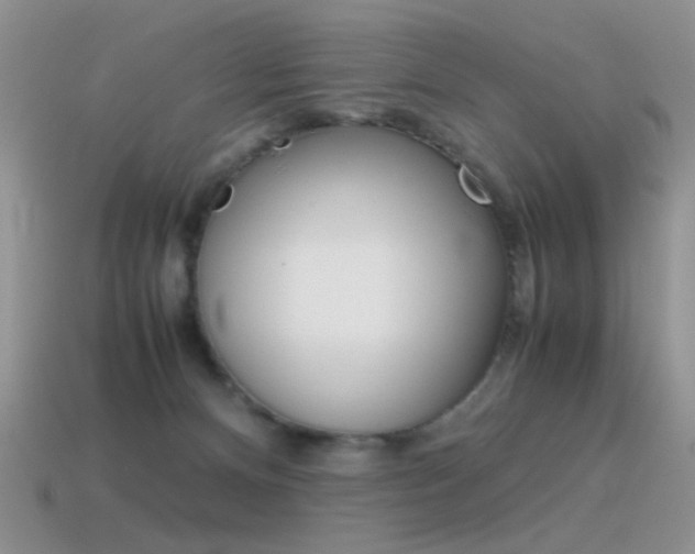 X0000115560128200911061155