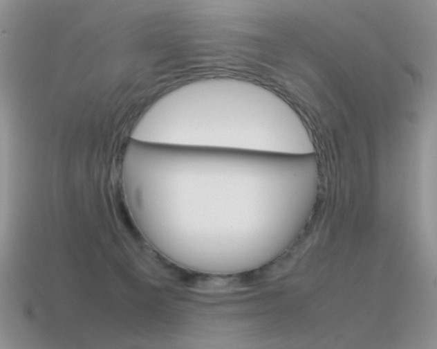 X0000115560129200911061155