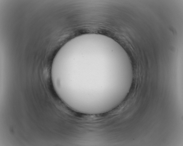 X0000115560131200911061155