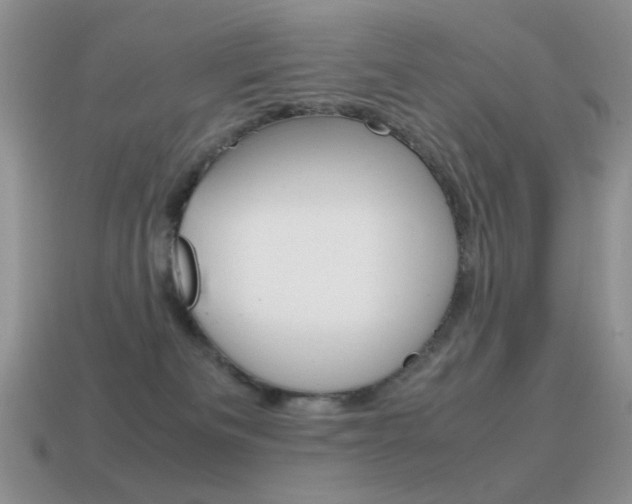 X0000115560133200911061155