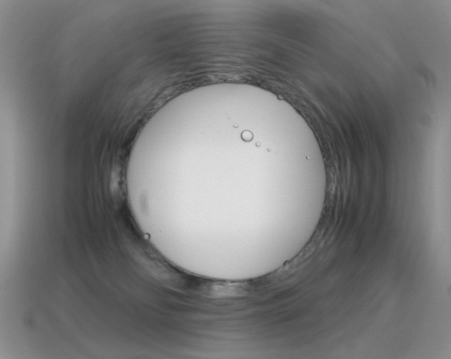X0000115560134200911061155