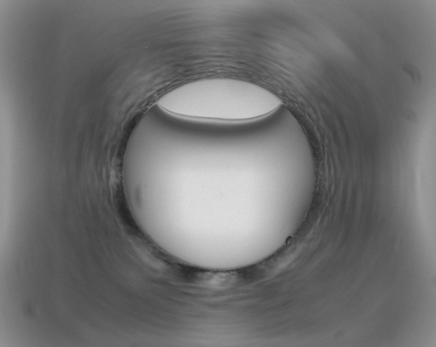 X0000115560135200911061155
