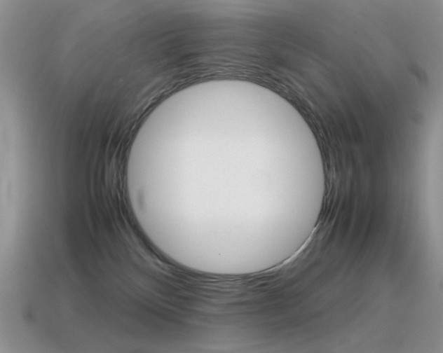 X0000115560136200911061155
