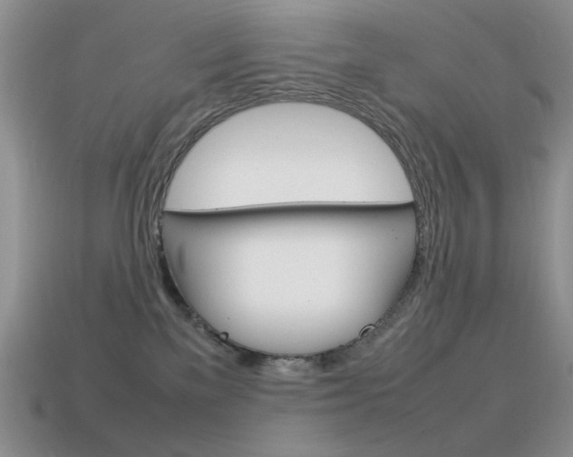 X0000115560137200911061155