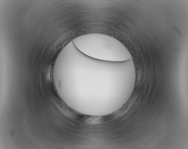 X0000115560138200911061155