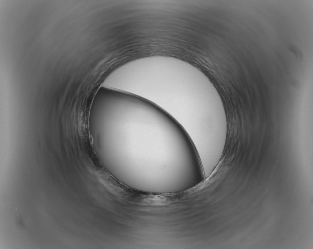 X0000115560140200911061155