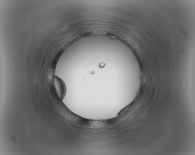 X0000115560141200911061155