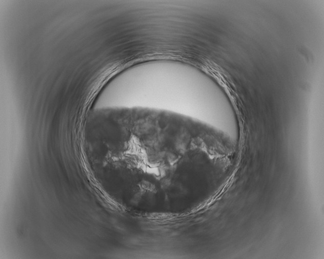 X0000115560145200911061155