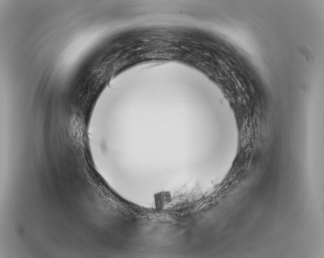 X0000115560146200911061155
