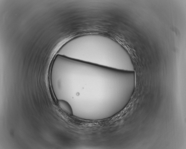 X0000115560147200911061155