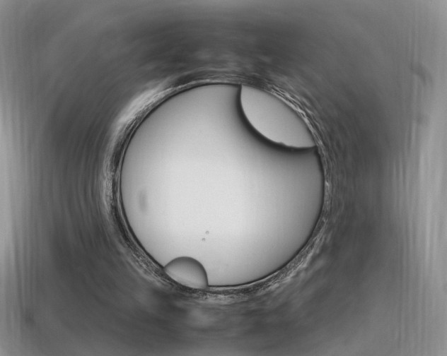 X0000115560149200911061155