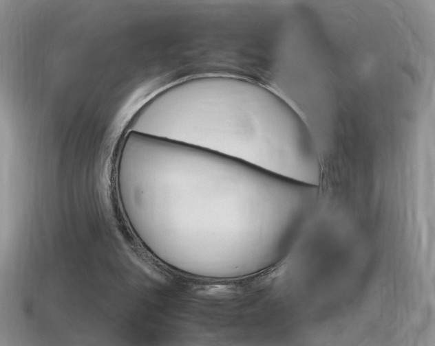 X0000115560151200911061155