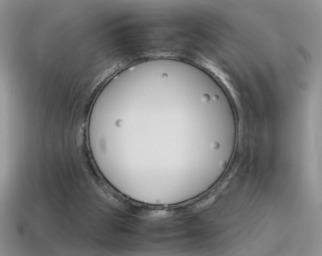 X0000115560153200911061155