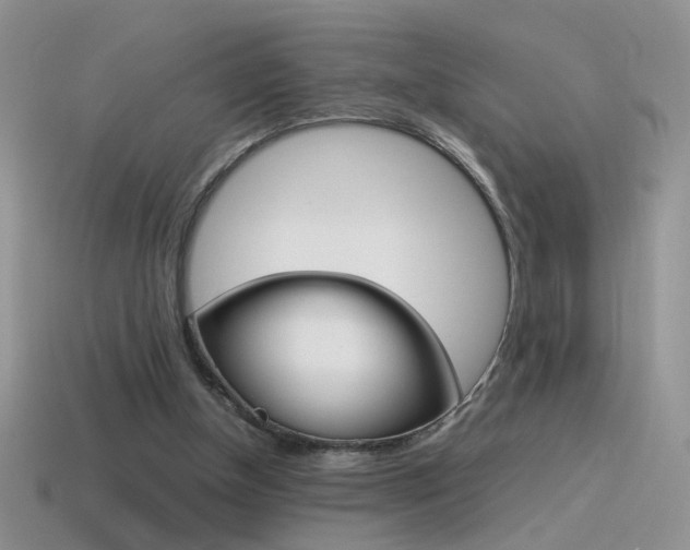 X0000115560154200911061155