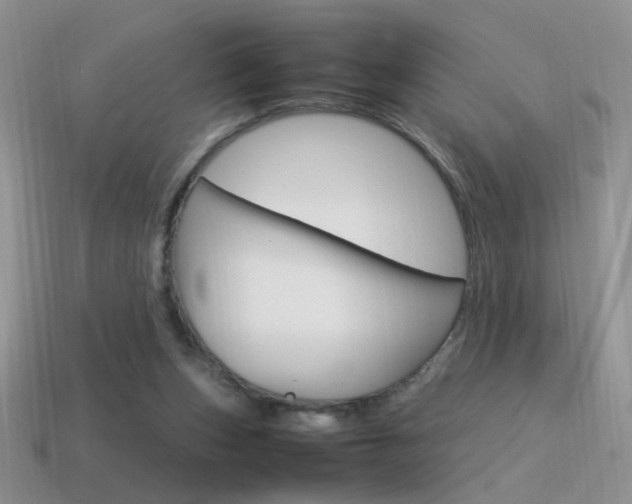 X0000115560159200911061155