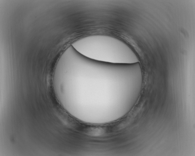 X0000115560161200911061155