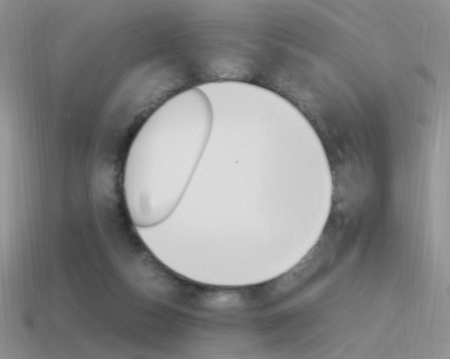 X0000115560162200911061155