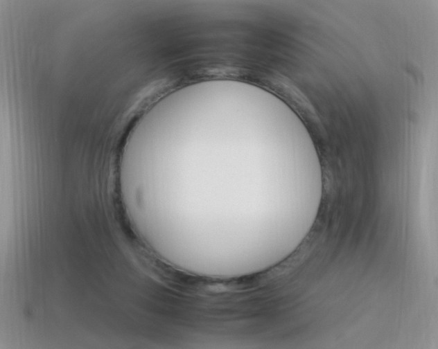 X0000115560163200911061155