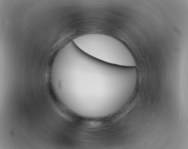 X0000115560165200911061155