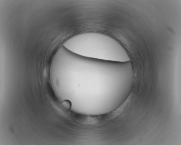 X0000115560166200911061155